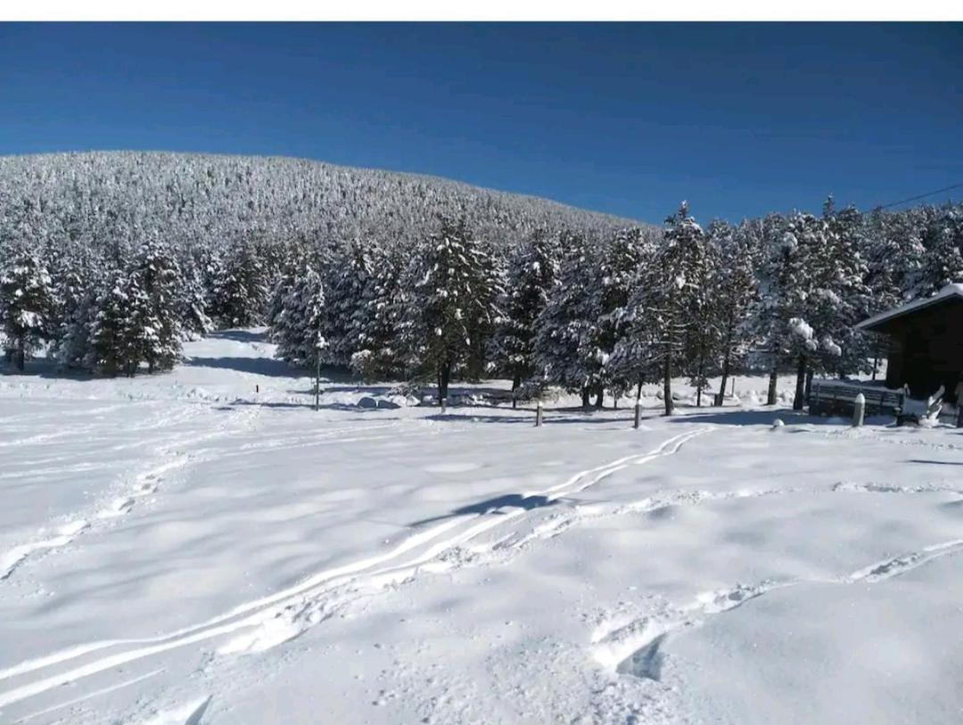 Apartamento En El Pirineo Catalan Sant Jordi de Cercs Extérieur photo